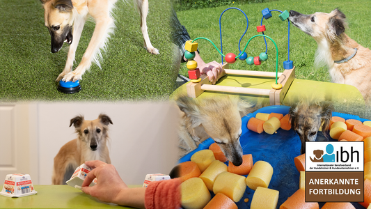 11.+12.07.2026 Buntes für Kopf und Körper