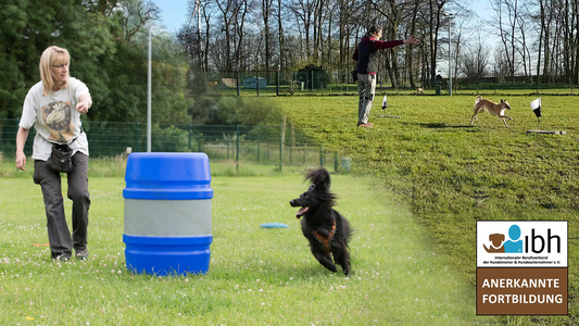 30.+31.05.2026 - Spaß & Beschäftigung mit Distanzen