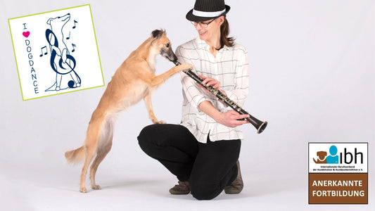 14.+15.03.2026 Dogdance für Anfänger