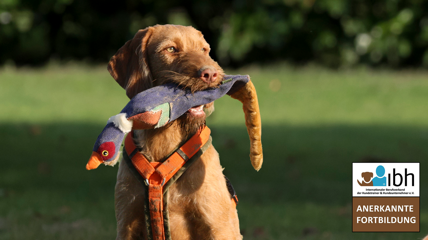 ab 25.03.2026 TRILOGIE: Dummyarbeit für alle Sinne & Talente