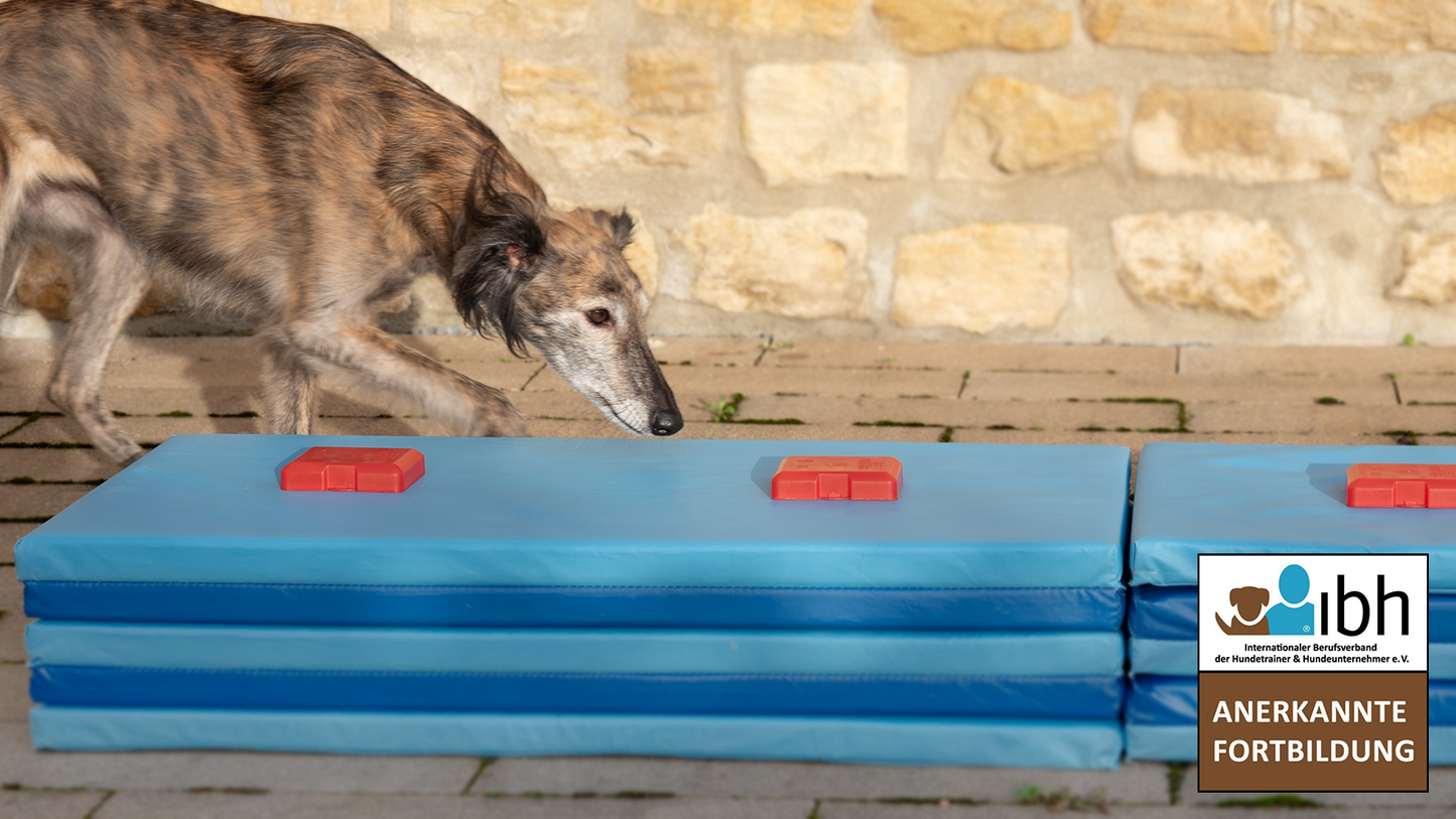 03.+04.10.2026 DUAL: Nasenarbeit - Arbeiten mit einem Zielduft