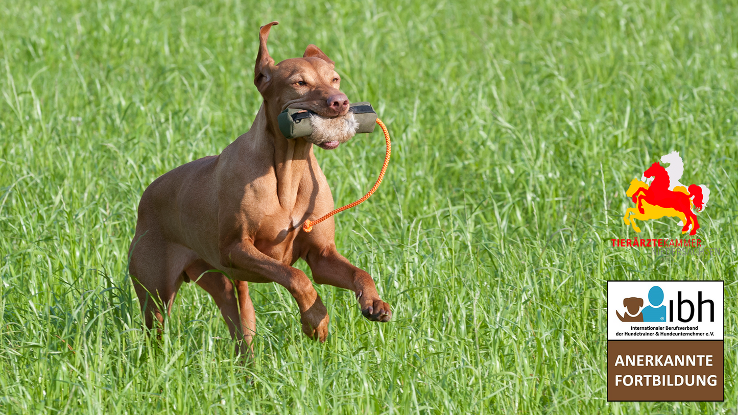 24.09.2023 - Schnüffelspiele für outdoor - nicht nur was für Jagdnasen