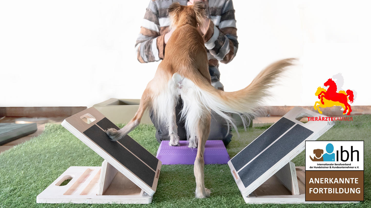 18.+19.04.2026 Physiotherapeutisches Bewegungstraining: Prophylaxe & Therapie