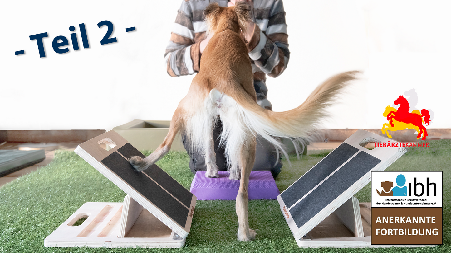 01.+02.08.2026 AUFBAUSEMINAR Physiotherapeutisches Bewegungstraining