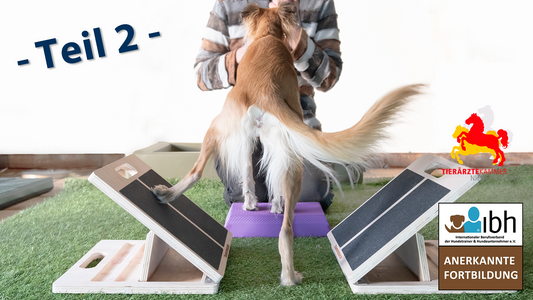 01.+02.08.2026 AUFBAUSEMINAR Physiotherapeutisches Bewegungstraining