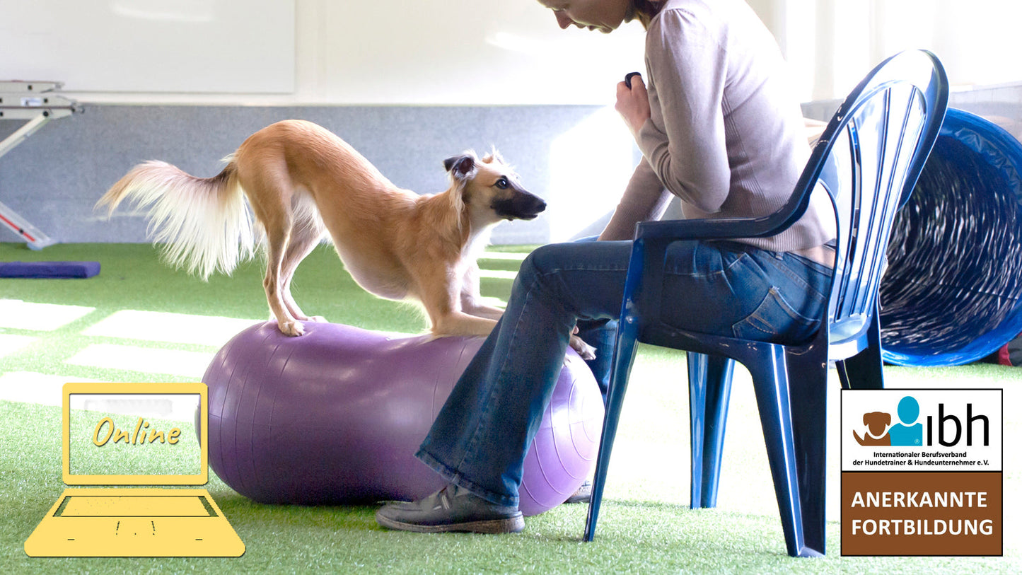 31.10.2023 Webinar: Grundlagen Balance- & Fitnesstraining 2
