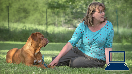 Stimmungsübertragung zwischen Mensch und Hund in Alltag & Training