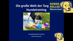 Die große Welt der Targets im Hundetraining
