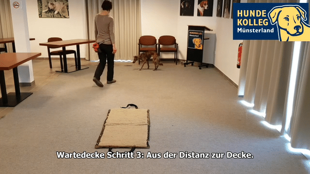 Bodentarget - Schicken & Aufbau einer Wartedecke