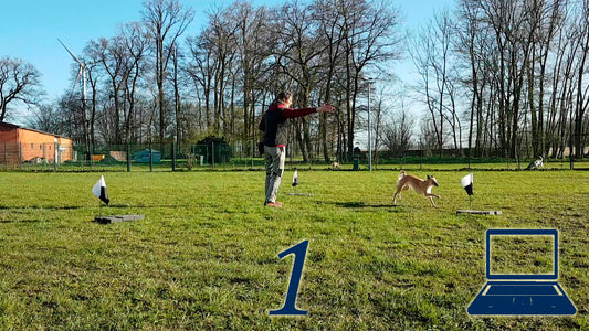 Dreiecks-Übung 1: Schicken & kurzes Warten