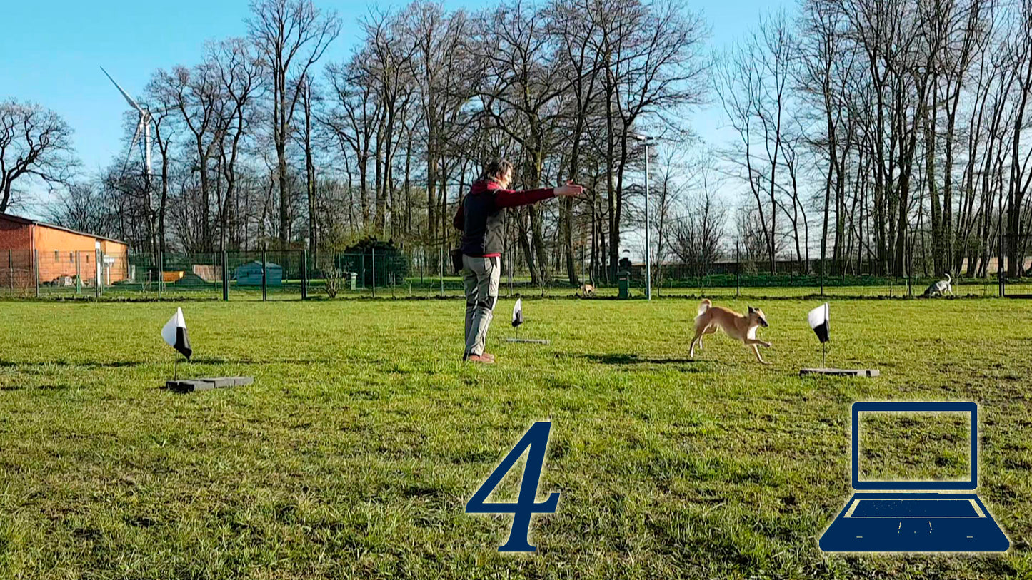 Dreiecks-Übung 4: Schicken & Warten trotz Verleitung