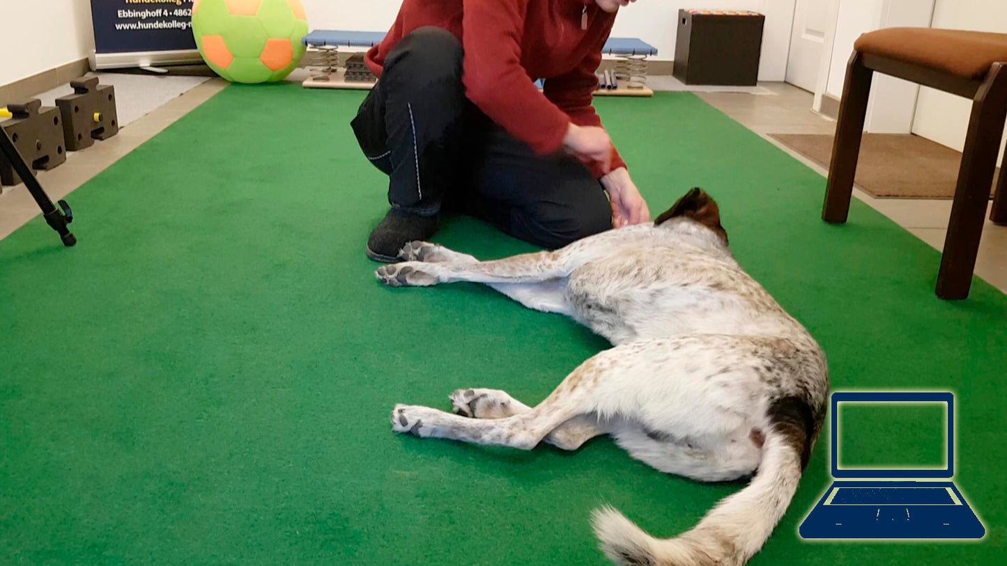 "Müde" - die Seitenlage als Position