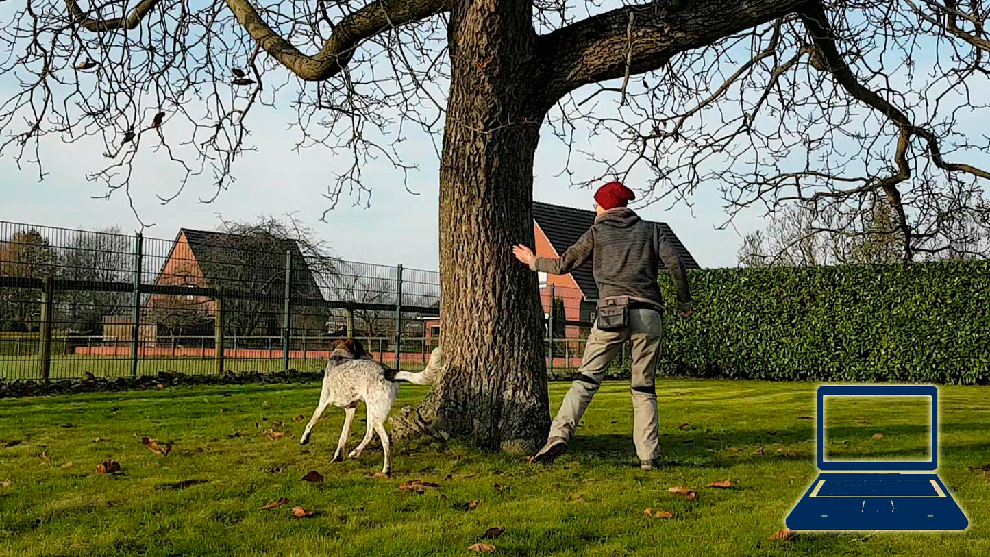 Ein großes Objekt umrunden