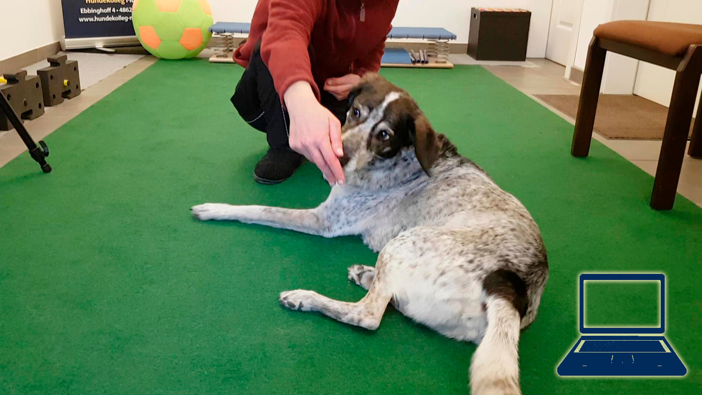 Popo umlegen - gesund und nützlich