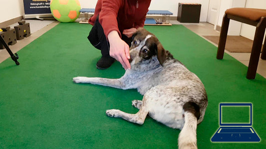 Popo umlegen - gesund und nützlich