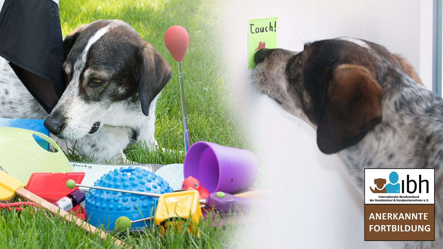 23.+24.01.2027 Wie sag ich's meinem Hund? - Verhalten erfolgreich trainieren