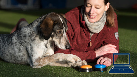 Do as I do - Mach's mir nach!