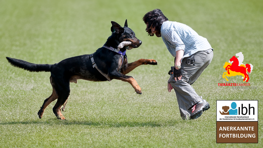 25.+26.07.2026 Sagst du, was du meinst?