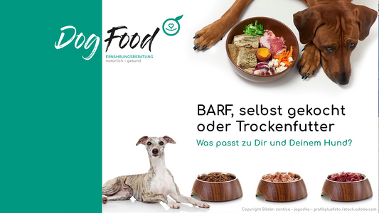 03.09.2026 Abend: Welche Fütterung passt zu Dir & Deinem Hund?