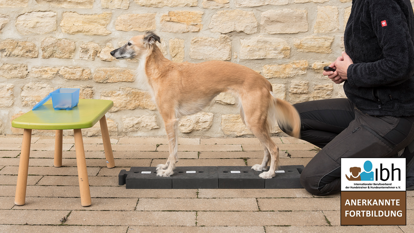 26.04.2026 - Target-Training 2.0