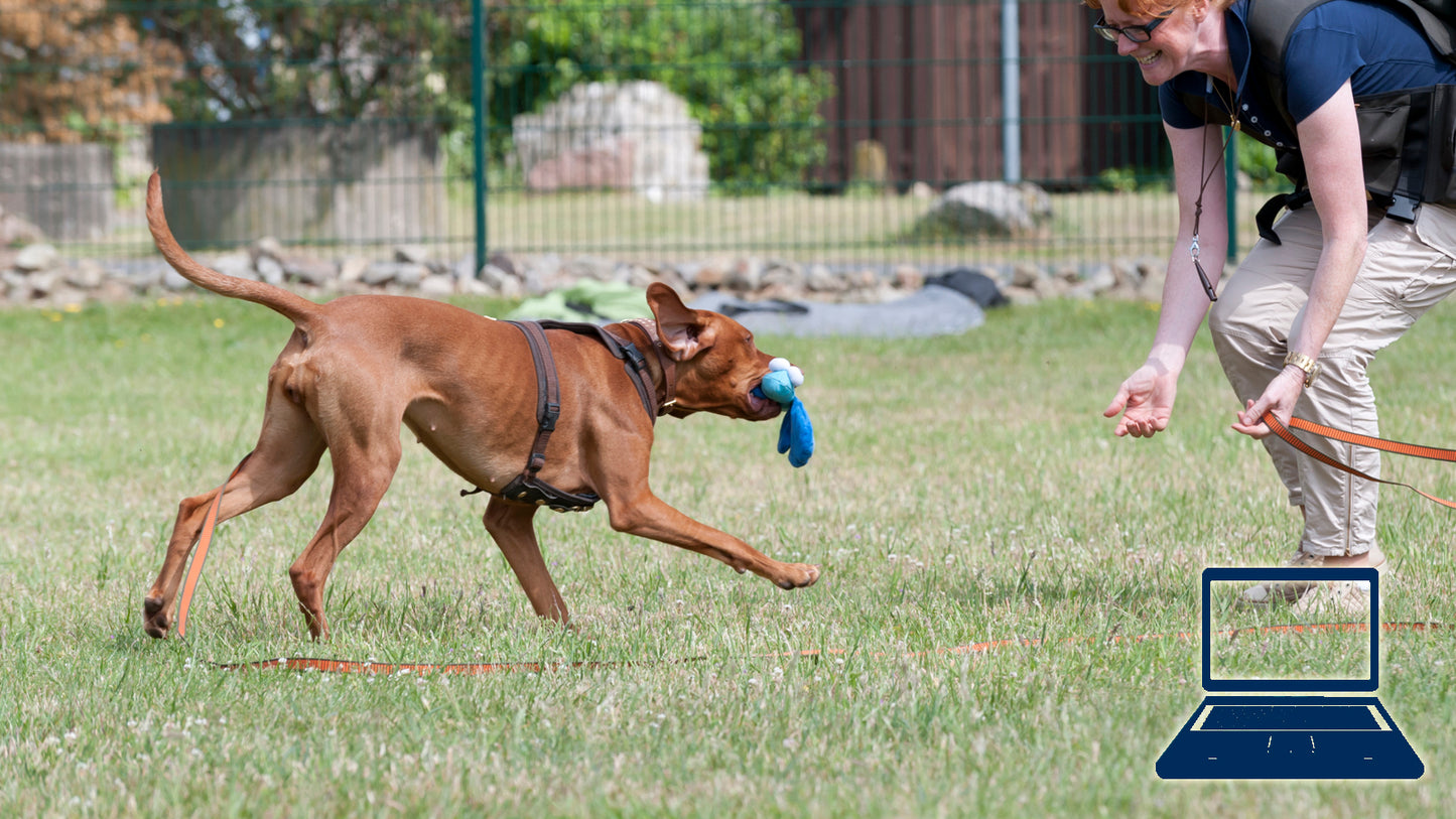 Jagdlich motivierte Hunde an Wild kontrollieren: Trainingselement "Bedürfnisgerecht belohnen"
